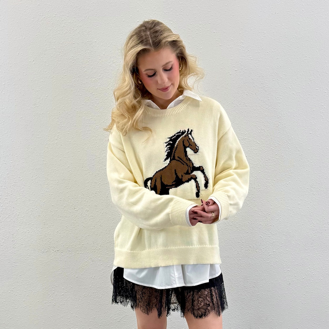 Horse Sweater