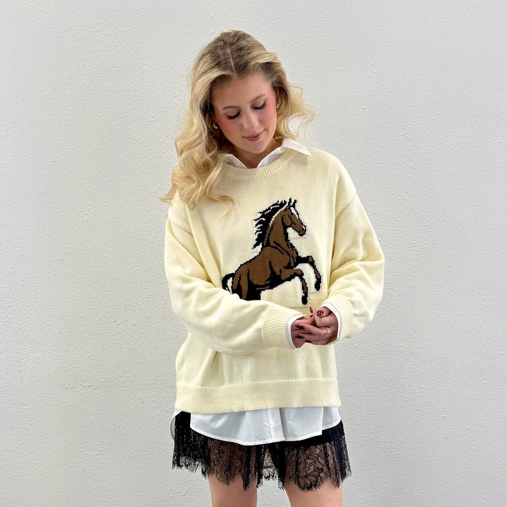 Horse Sweater