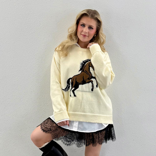 Horse Sweater