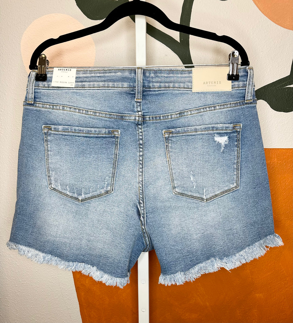 Curvy Distressed Shorts